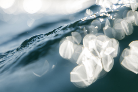 GWA25-ABU-DHABI-DAY-7-31132830-IMG_8102-romantsovaphoto GWA25-ABU-DHABI-DAY-7-31132830-IMG_8102-romantsovaphoto